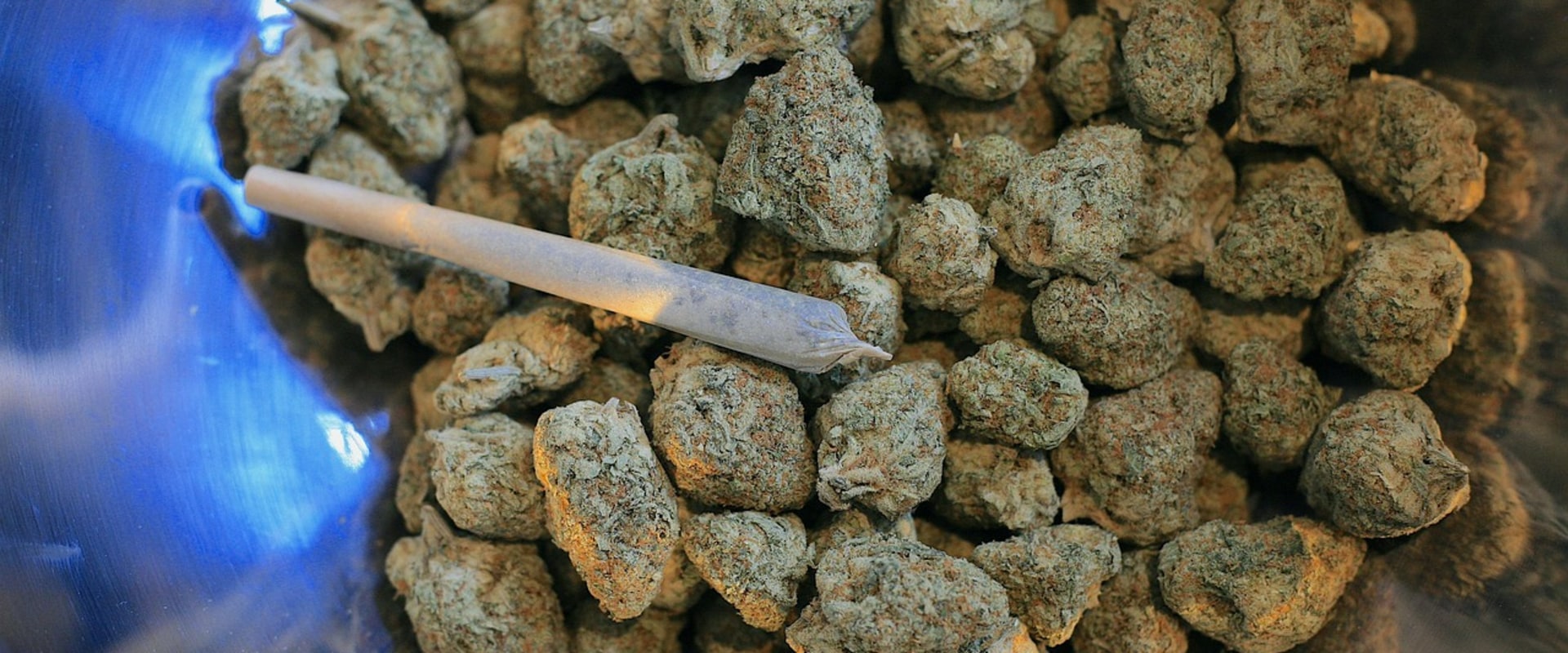 Navigating Hybrid Cannabis in Denver Rehab Centers